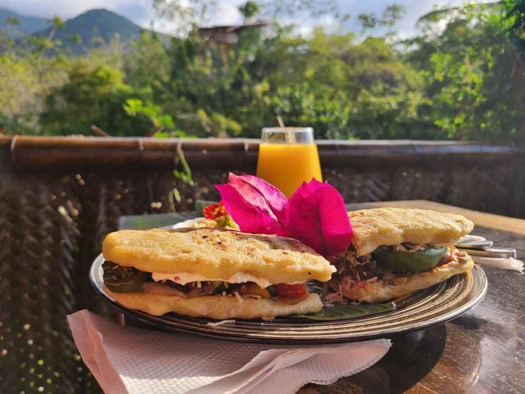 Vegetarian Sandwich at the Valley Tayrona