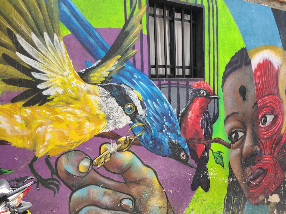 Best things to do in Medellin is viewing the street art