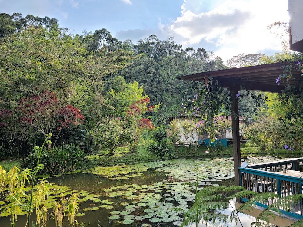 El Charco Corazon Hostel in Jardin