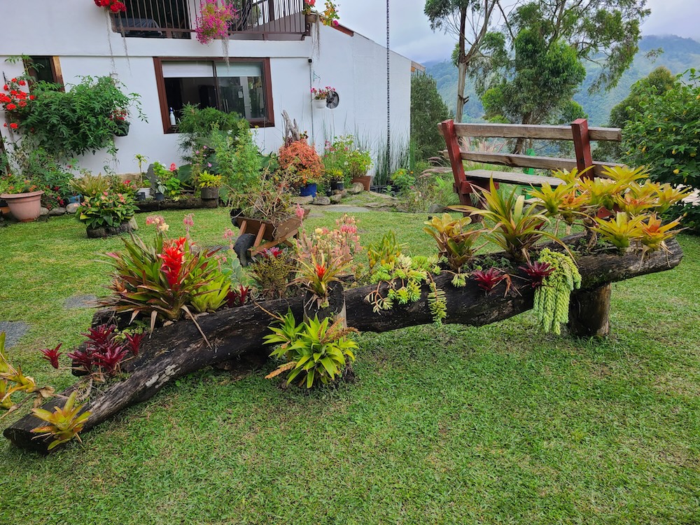 Plants in a trunk at Kawa Mountain in Salento Colombia Hotel