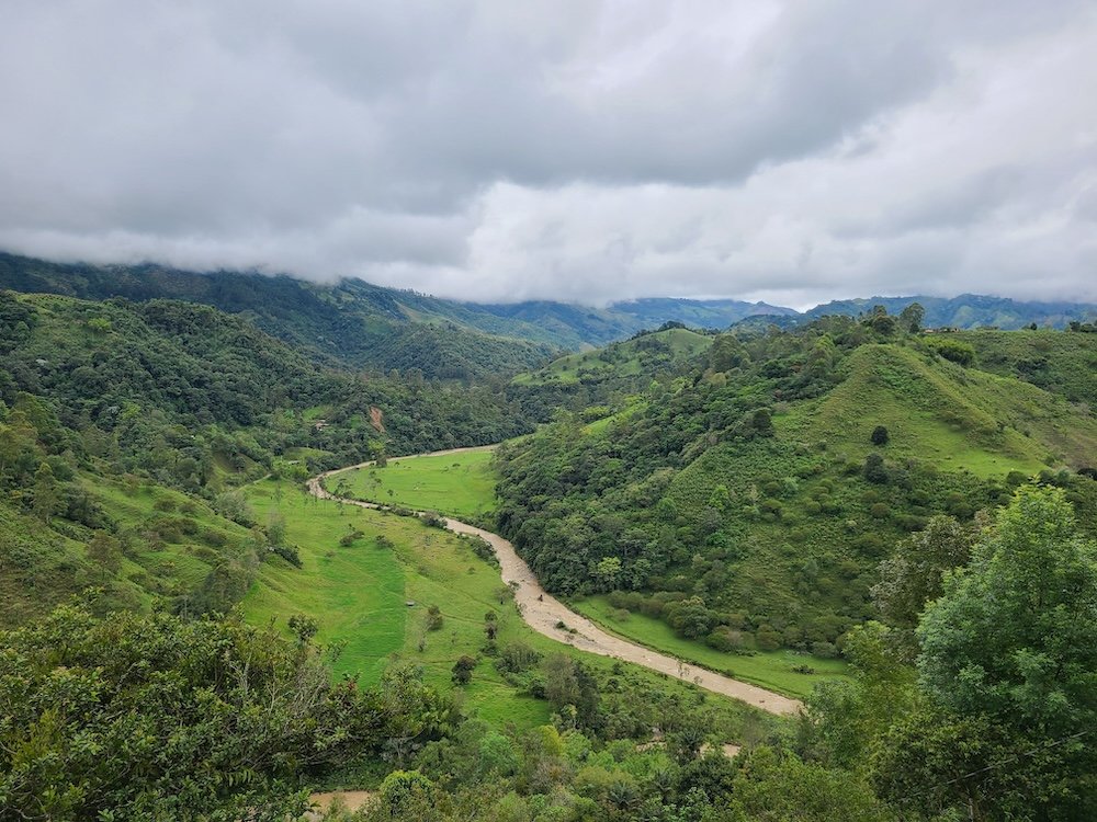 lush valley in the coffee region
