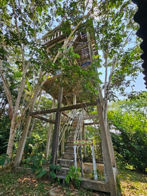 Birding tower at Palmari Nature Reserve