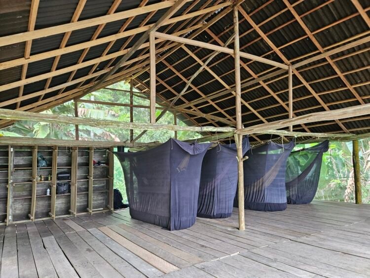 hammock room at Palmari