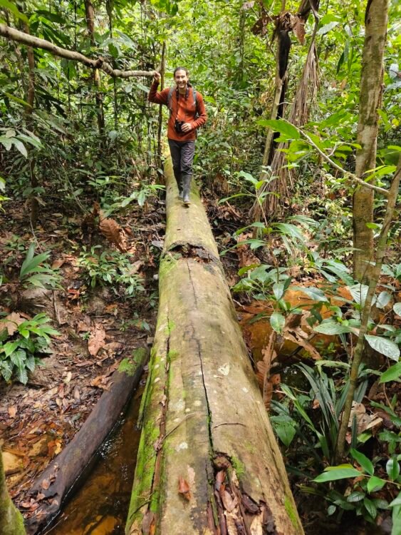 balancing across a log