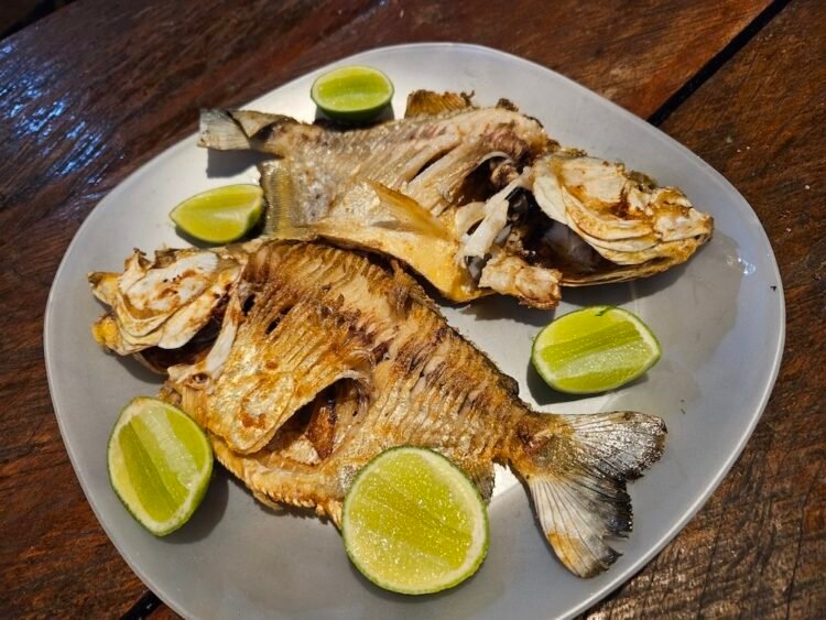 Fried piranhas for dinner 