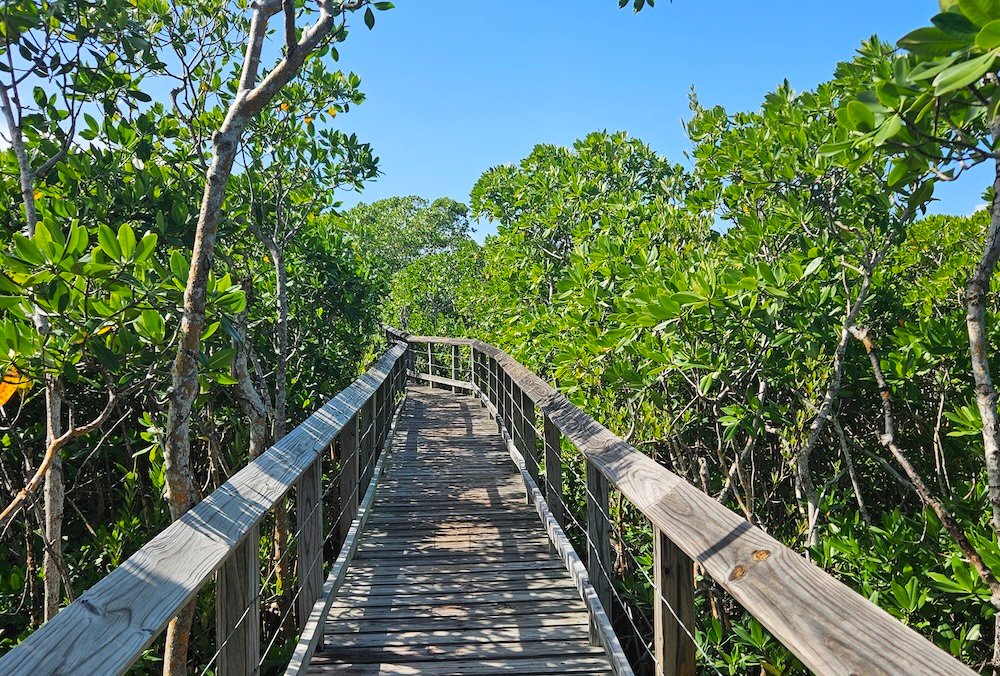 boardwalk at Las Cabezas de San Juan Nature Reserve