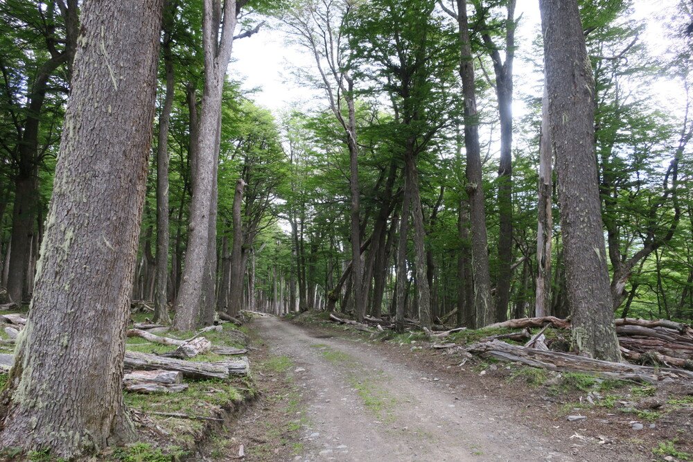Crossing the border between Chile and Argentina in Patagonia